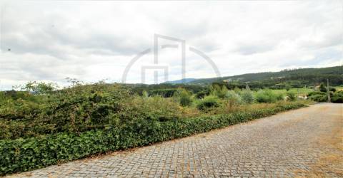 Terreno Misto  Venda em Nine,Vila Nova de Famalicão