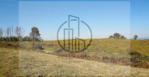 Terreno  Venda em Póvoa de Lanhoso (Nossa Senhora do Amparo),Póvoa de Lanhoso