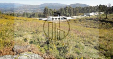 Terreno  Venda em Póvoa de Lanhoso (Nossa Senhora do Amparo),Póvoa de Lanhoso