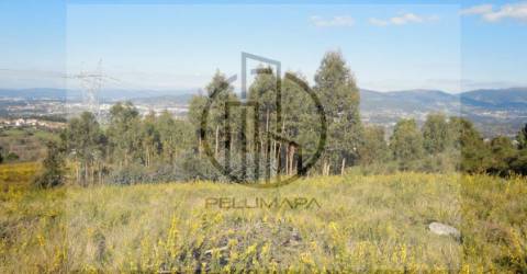Terreno  Venda em Póvoa de Lanhoso (Nossa Senhora do Amparo),Póvoa de Lanhoso
