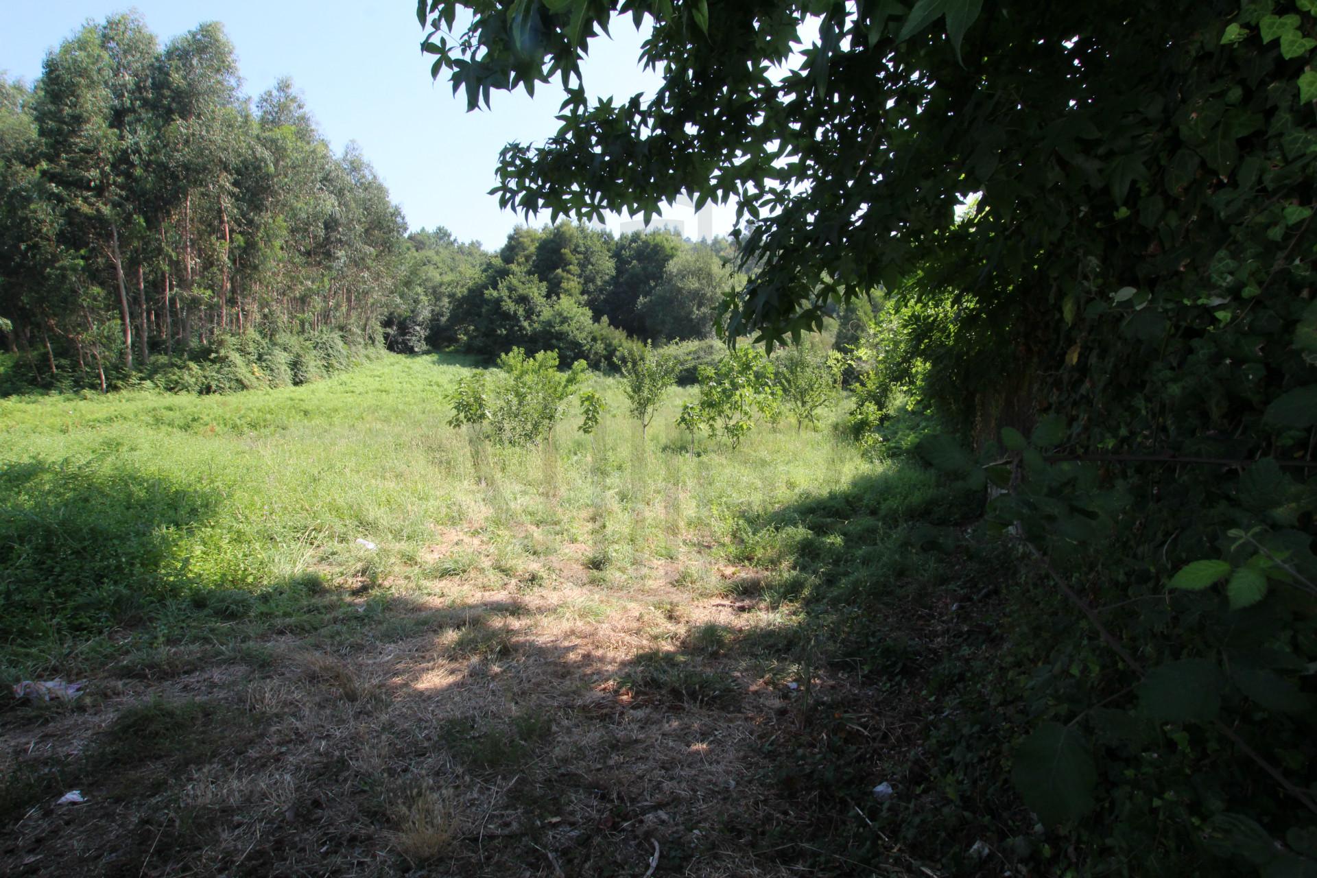 Terreno  Venda em Requião,Vila Nova de Famalicão