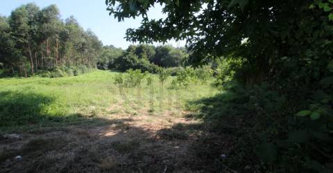 Terreno  Venda em Requião,Vila Nova de Famalicão