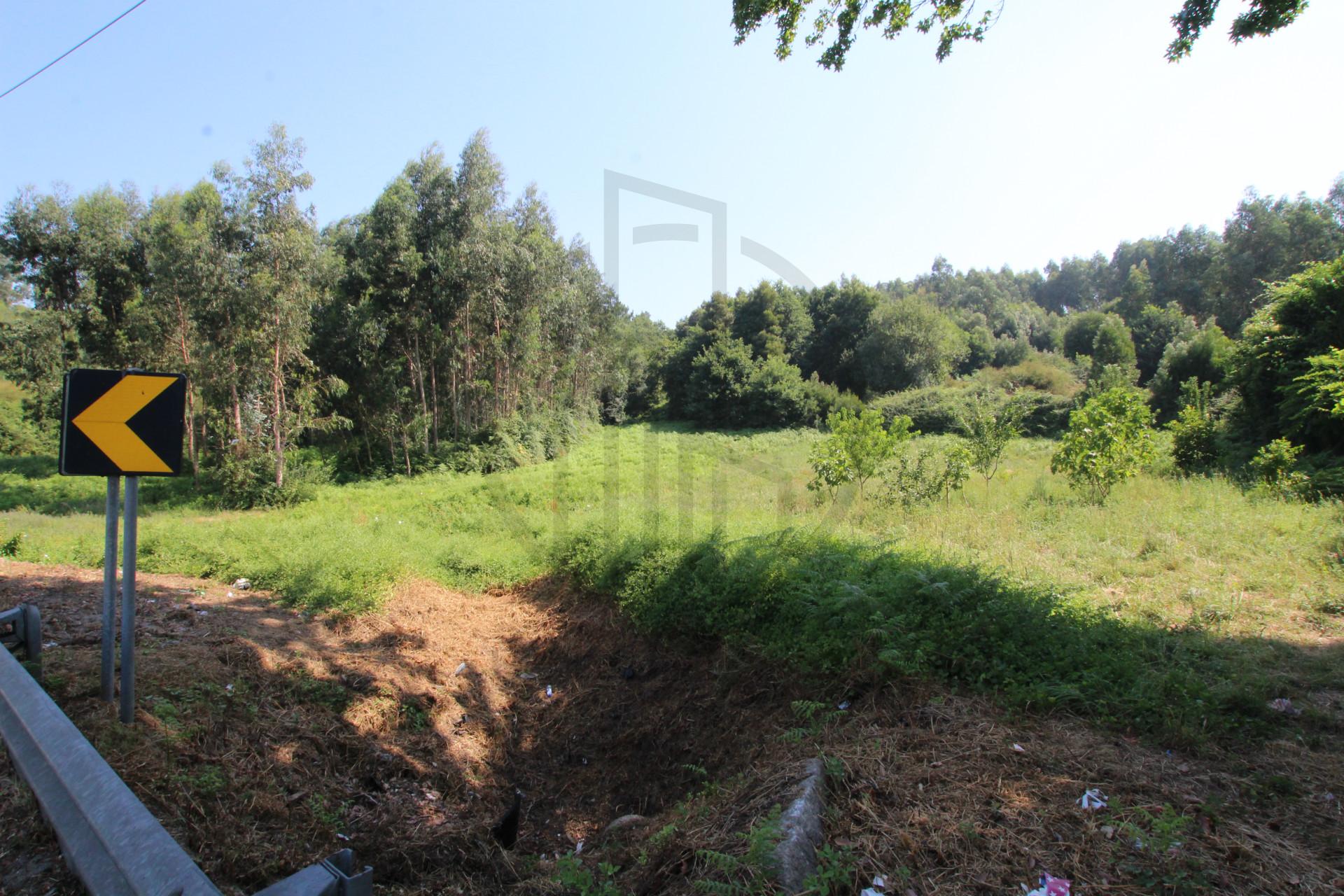 Terreno  Venda em Requião,Vila Nova de Famalicão