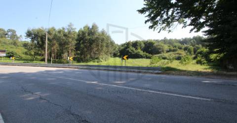 Terreno  Venda em Requião,Vila Nova de Famalicão