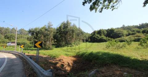 Terreno  Venda em Requião,Vila Nova de Famalicão