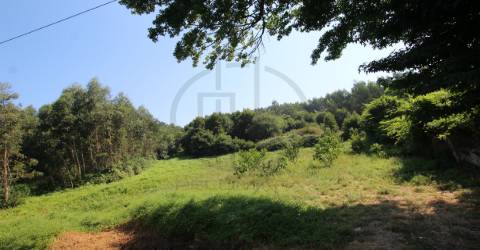 Terreno  Venda em Requião,Vila Nova de Famalicão