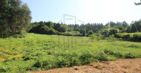 Terreno  Venda em Requião,Vila Nova de Famalicão