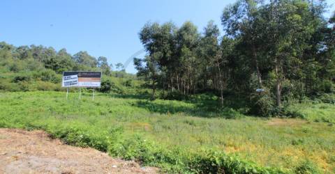 Terreno  Venda em Requião,Vila Nova de Famalicão