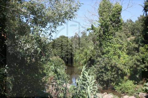 Terreno Rústico  Venda em Avidos e Lagoa,Vila Nova de Famalicão