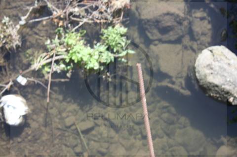 Terreno Rústico  Venda em Avidos e Lagoa,Vila Nova de Famalicão