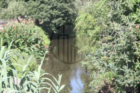 Terreno Rústico  Venda em Avidos e Lagoa,Vila Nova de Famalicão