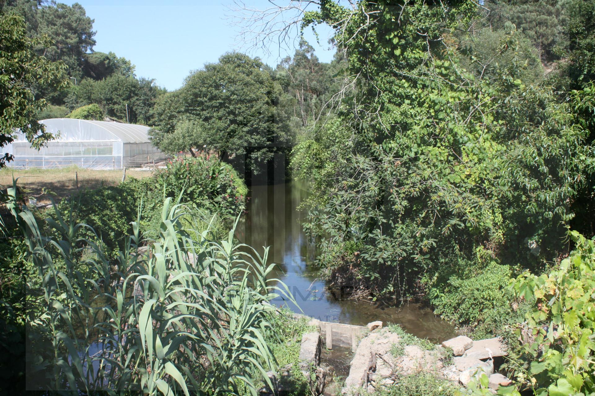 Terreno Rústico  Venda em Avidos e Lagoa,Vila Nova de Famalicão