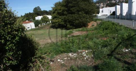 Loteamento  Venda em Santo Tirso, Couto (Santa Cristina e São Miguel) e Burgães,Santo Tirso