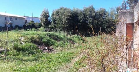 Terreno Para Construção  Venda em Ruivães e Novais,Vila Nova de Famalicão