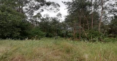 Lote de Terreno  Venda em Landim,Vila Nova de Famalicão