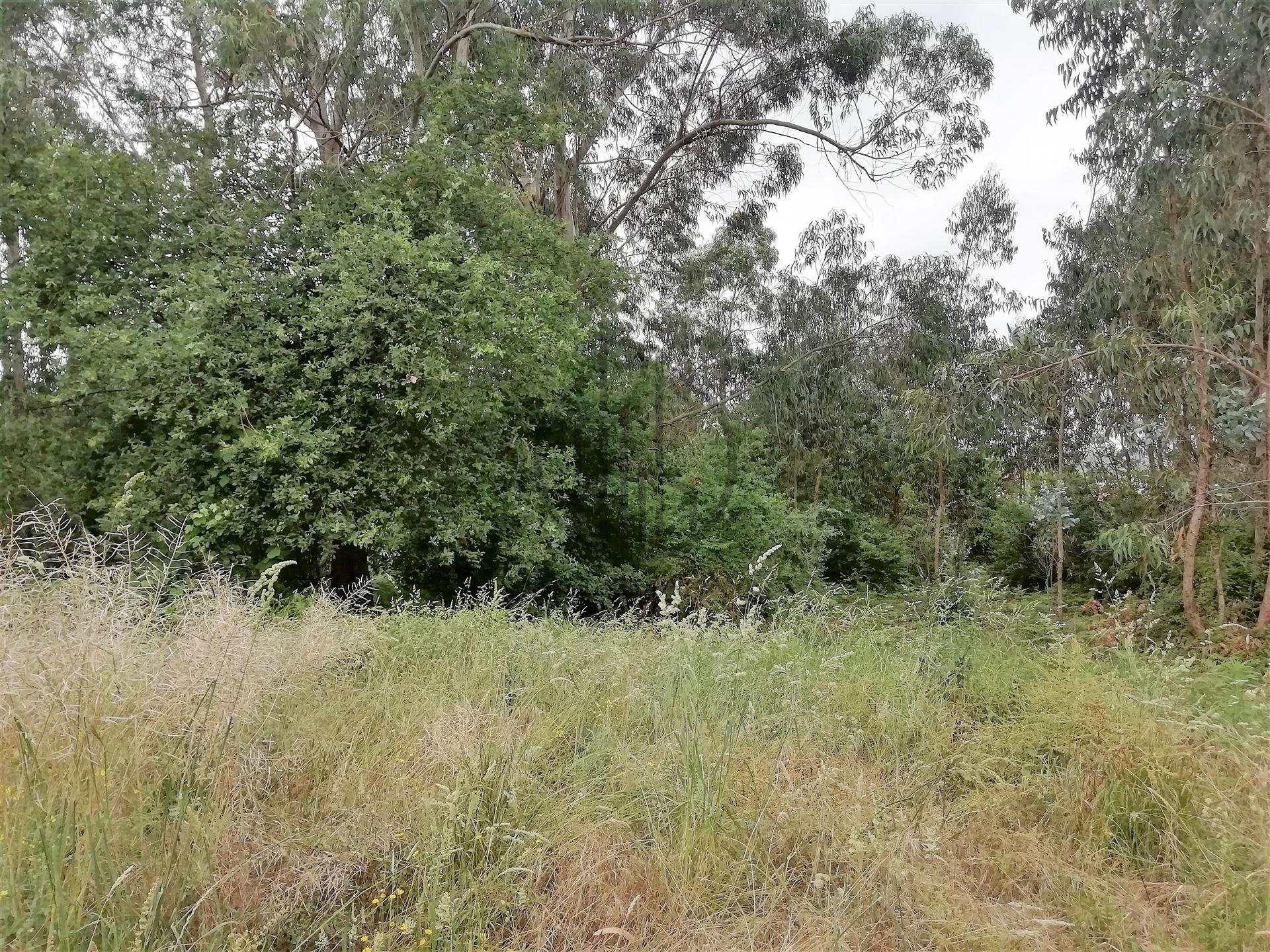 Lote de Terreno  Venda em Landim,Vila Nova de Famalicão