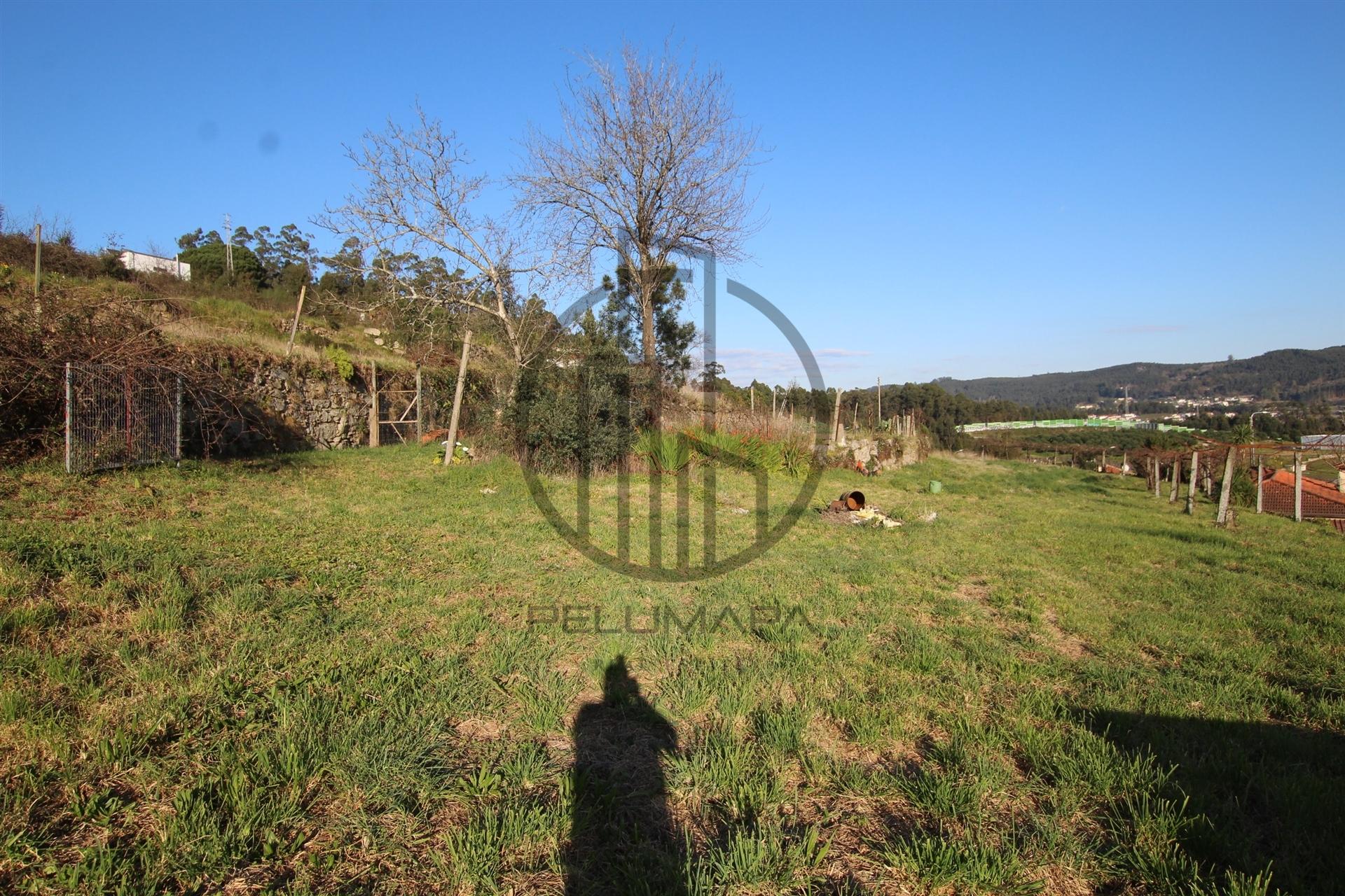 Terreno  Venda em Gavião,Vila Nova de Famalicão