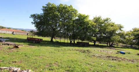 Terreno  Venda em Carreira e Bente,Vila Nova de Famalicão
