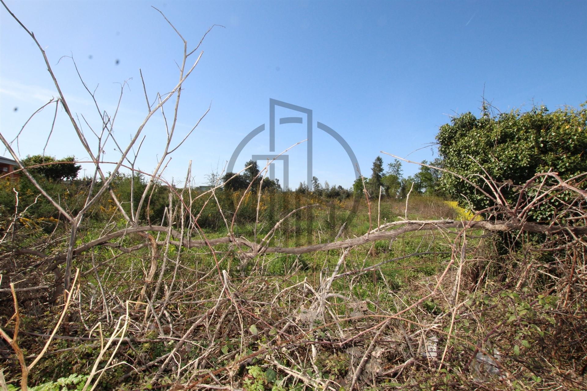 Terreno  Venda em Carreira e Bente,Vila Nova de Famalicão