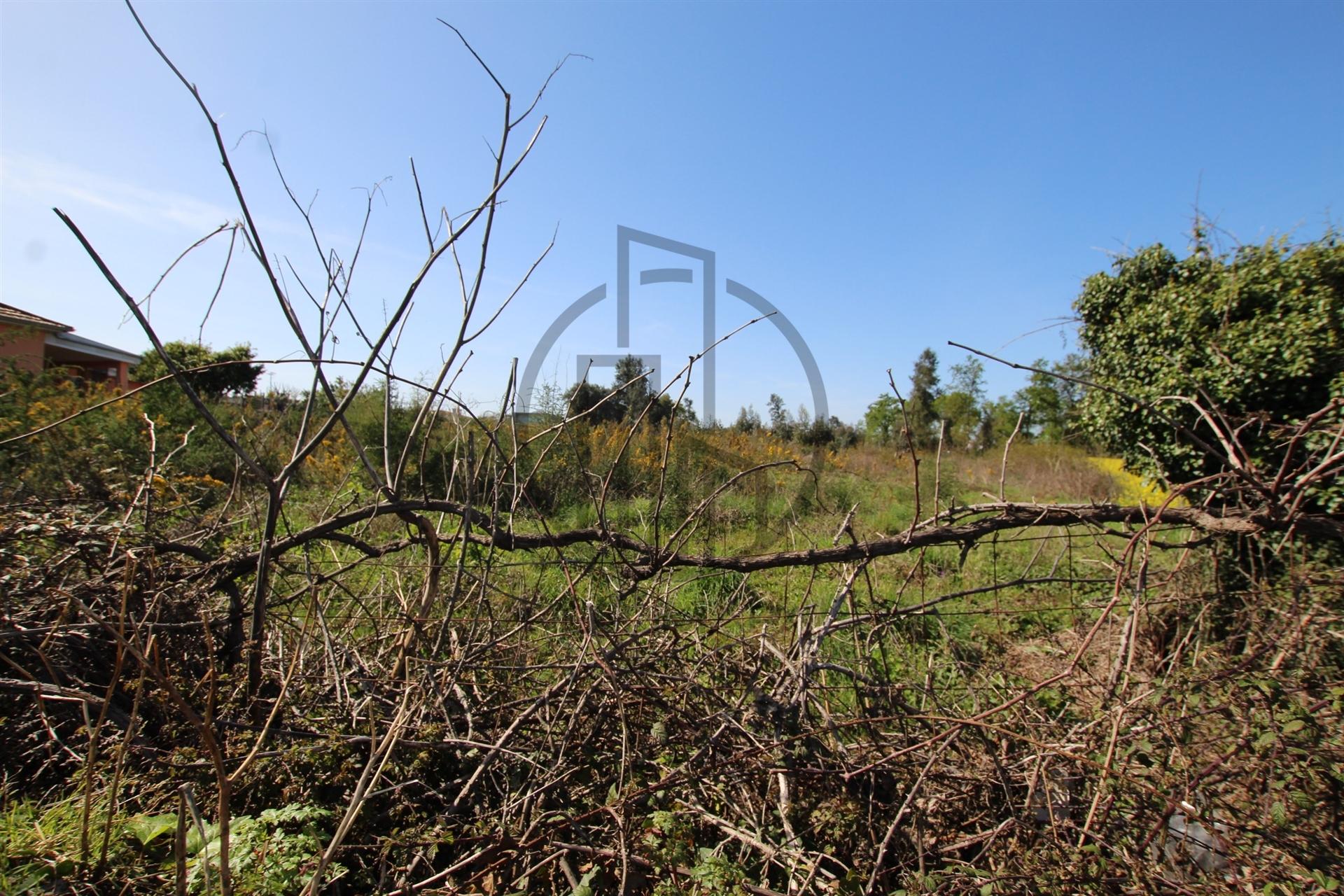 Terreno  Venda em Carreira e Bente,Vila Nova de Famalicão