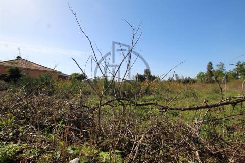 Terreno  Venda em Carreira e Bente,Vila Nova de Famalicão