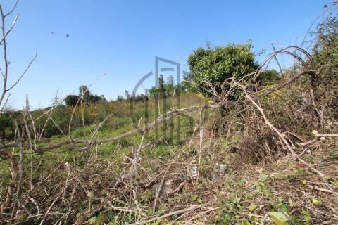 Terreno  Venda em Carreira e Bente,Vila Nova de Famalicão