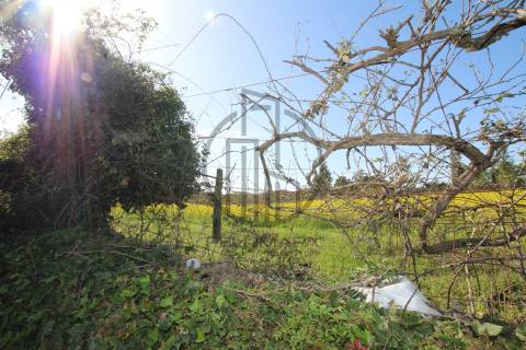 Terreno  Venda em Carreira e Bente,Vila Nova de Famalicão