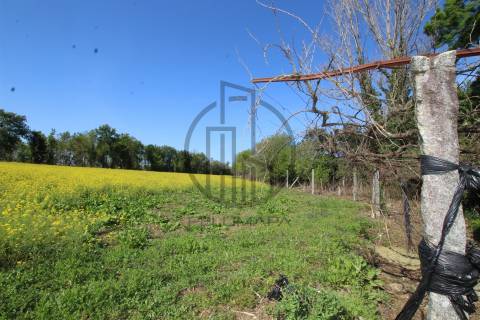 Terreno  Venda em Carreira e Bente,Vila Nova de Famalicão