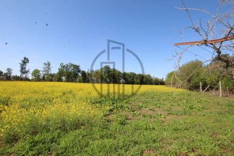 Terreno  Venda em Carreira e Bente,Vila Nova de Famalicão