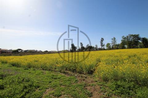 Terreno  Venda em Carreira e Bente,Vila Nova de Famalicão
