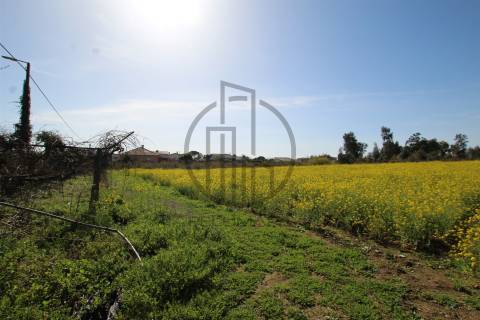 Terreno  Venda em Carreira e Bente,Vila Nova de Famalicão