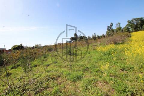 Terreno  Venda em Carreira e Bente,Vila Nova de Famalicão