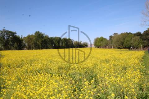 Terreno  Venda em Carreira e Bente,Vila Nova de Famalicão