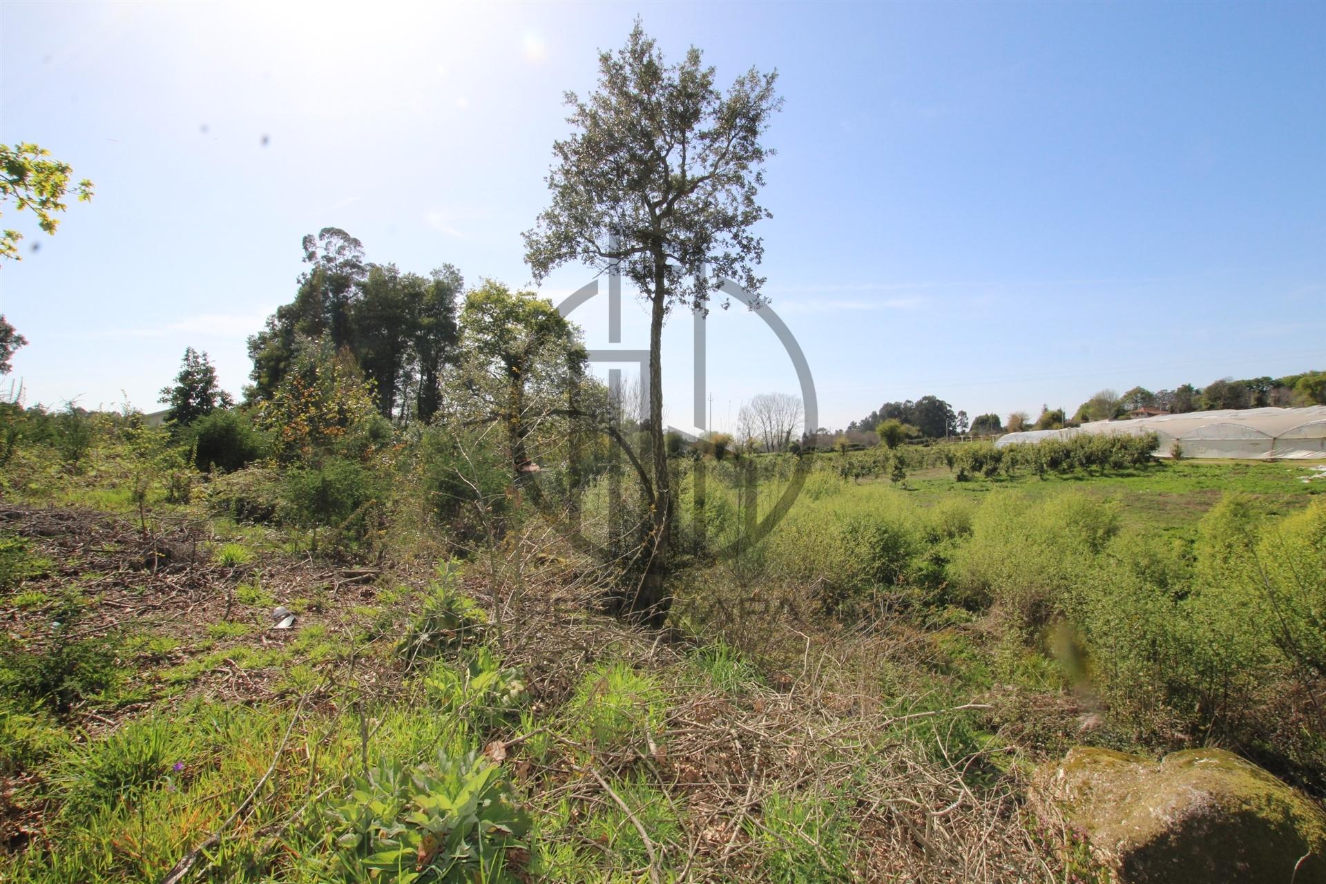 Terreno  Venda em Carreira e Bente,Vila Nova de Famalicão