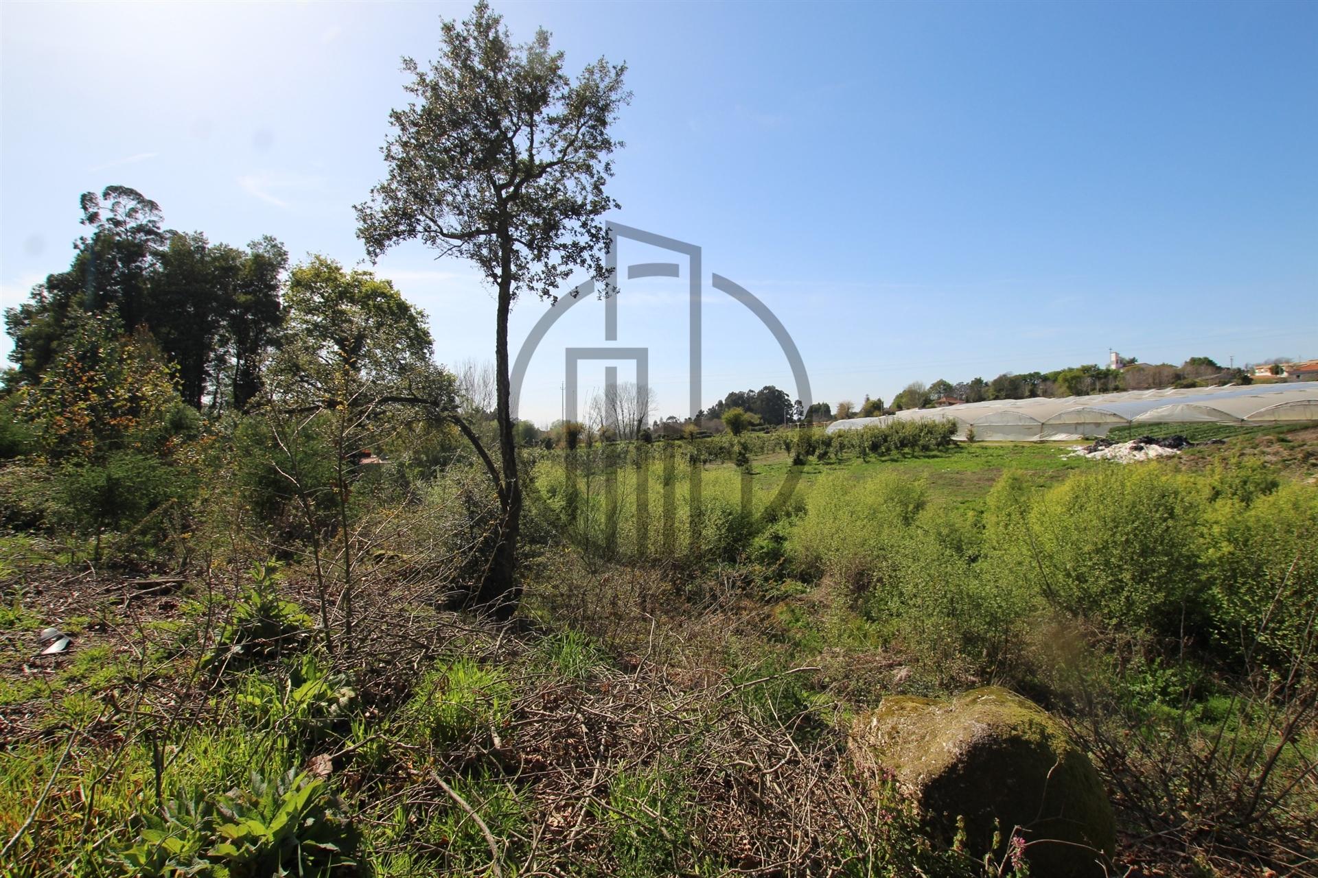 Terreno  Venda em Carreira e Bente,Vila Nova de Famalicão