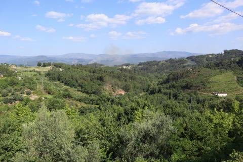 Herdade T6 Venda em Britelo, Gémeos e Ourilhe,Celorico de Basto