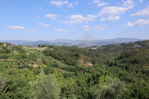 Herdade T6 Venda em Britelo, Gémeos e Ourilhe,Celorico de Basto