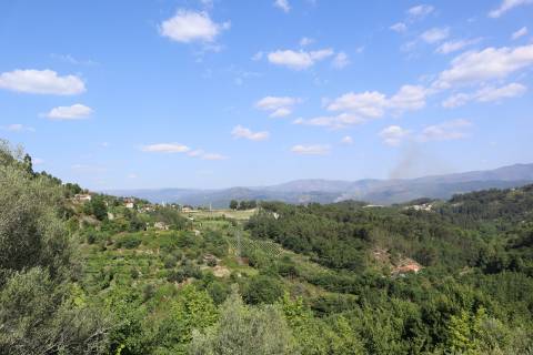 Herdade T6 Venda em Britelo, Gémeos e Ourilhe,Celorico de Basto