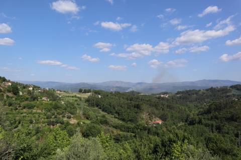 Herdade T6 Venda em Britelo, Gémeos e Ourilhe,Celorico de Basto