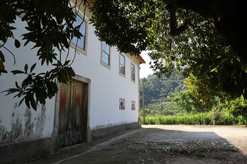 Herdade T6 Venda em Britelo, Gémeos e Ourilhe,Celorico de Basto