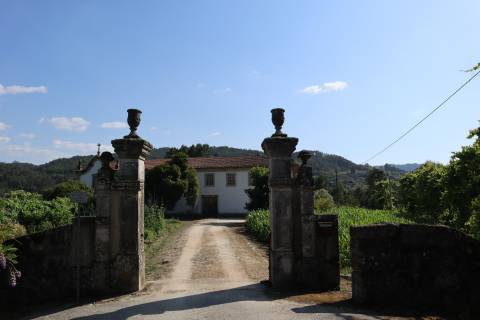 Herdade T6 Venda em Britelo, Gémeos e Ourilhe,Celorico de Basto