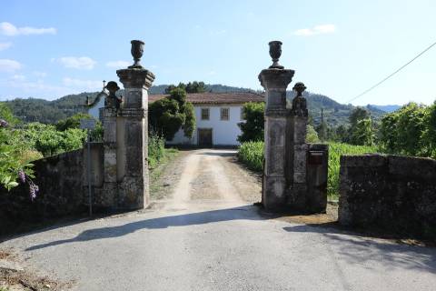 Herdade T6 Venda em Britelo, Gémeos e Ourilhe,Celorico de Basto