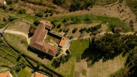 Herdade T6 Venda em Britelo, Gémeos e Ourilhe,Celorico de Basto