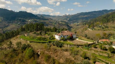 Herdade T6 Venda em Britelo, Gémeos e Ourilhe,Celorico de Basto
