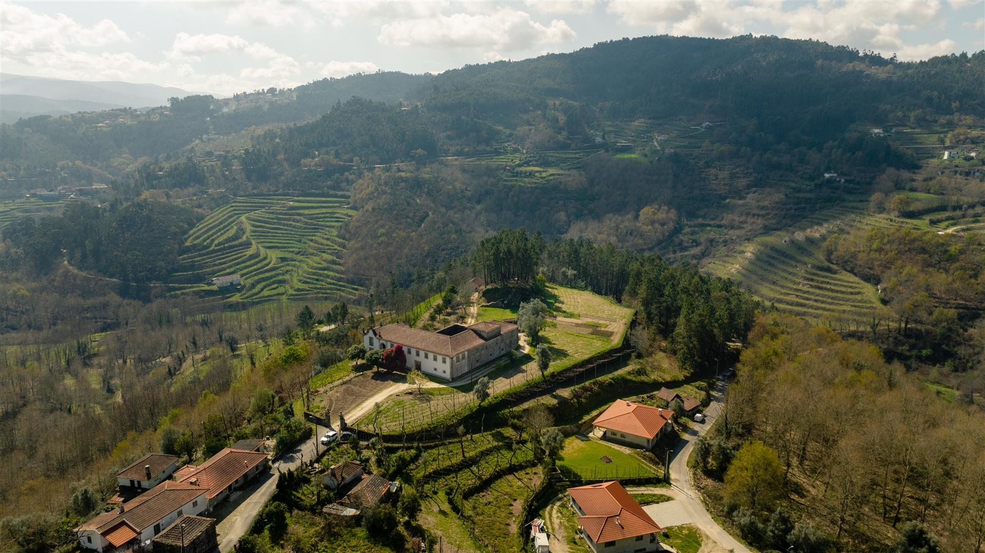 Herdade T6 Venda em Britelo, Gémeos e Ourilhe,Celorico de Basto