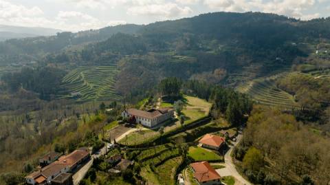 Herdade T6 Venda em Britelo, Gémeos e Ourilhe,Celorico de Basto