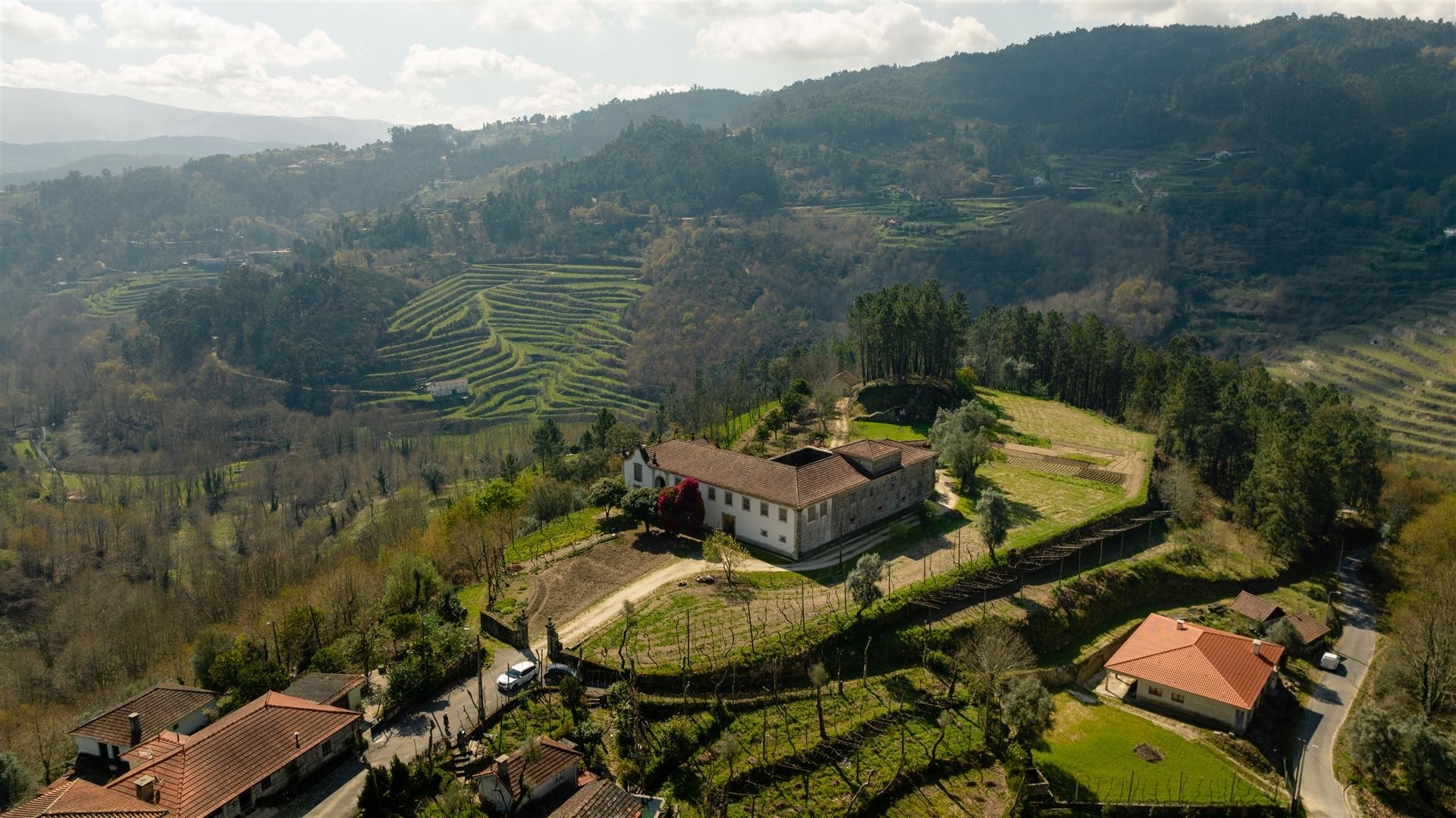 Herdade T6 Venda em Britelo, Gémeos e Ourilhe,Celorico de Basto