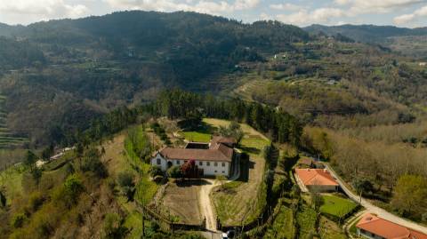 Herdade T6 Venda em Britelo, Gémeos e Ourilhe,Celorico de Basto