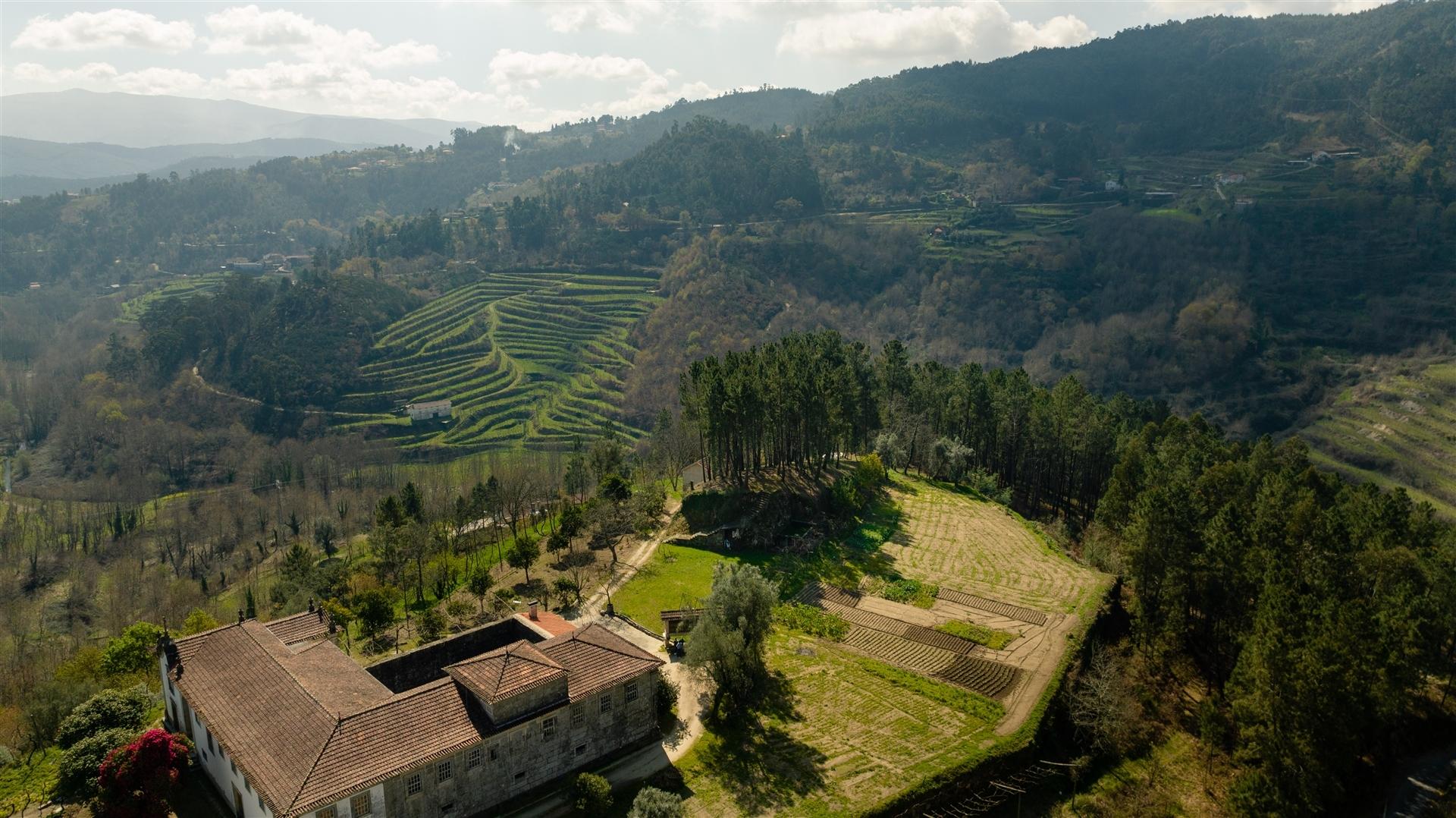 Herdade T6 Venda em Britelo, Gémeos e Ourilhe,Celorico de Basto