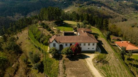 Herdade T6 Venda em Britelo, Gémeos e Ourilhe,Celorico de Basto